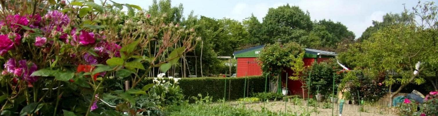 Albums Photos des jardins familiaux