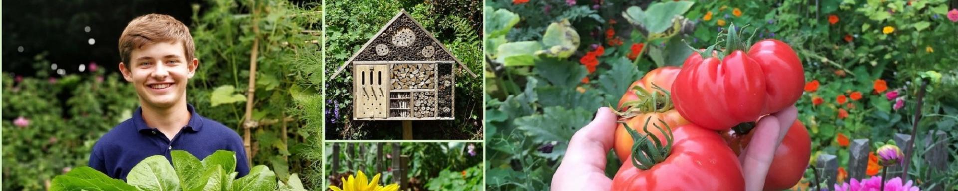 Le potager d'ARTHUR