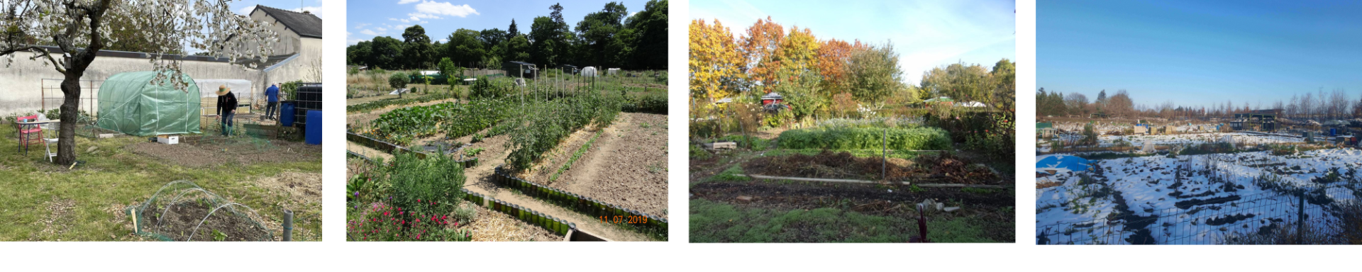 Les 4 saisons au jardin