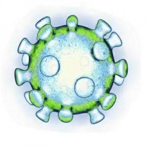 Virus