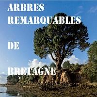 Arbres remarquables