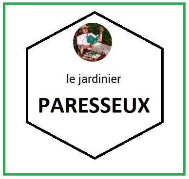 Paresseux