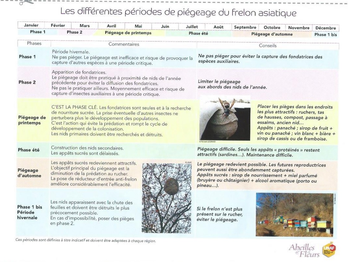 Periode
